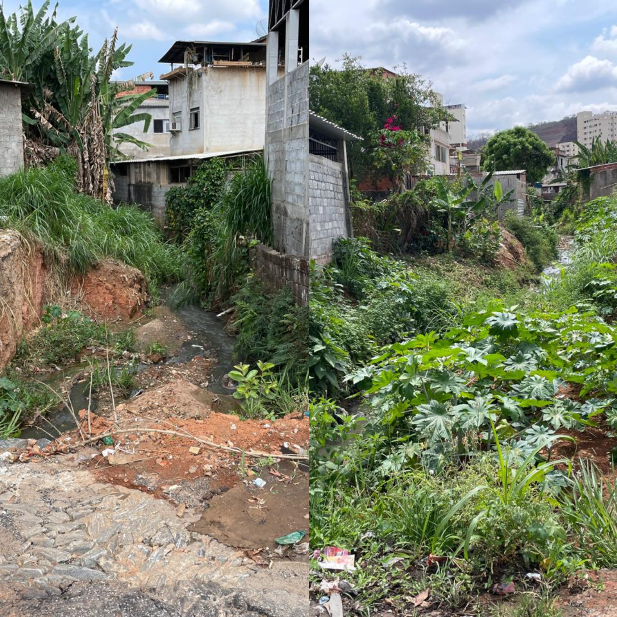 Viçosa: Moradores reivindicam limpeza do ribeirão Santo Antônio