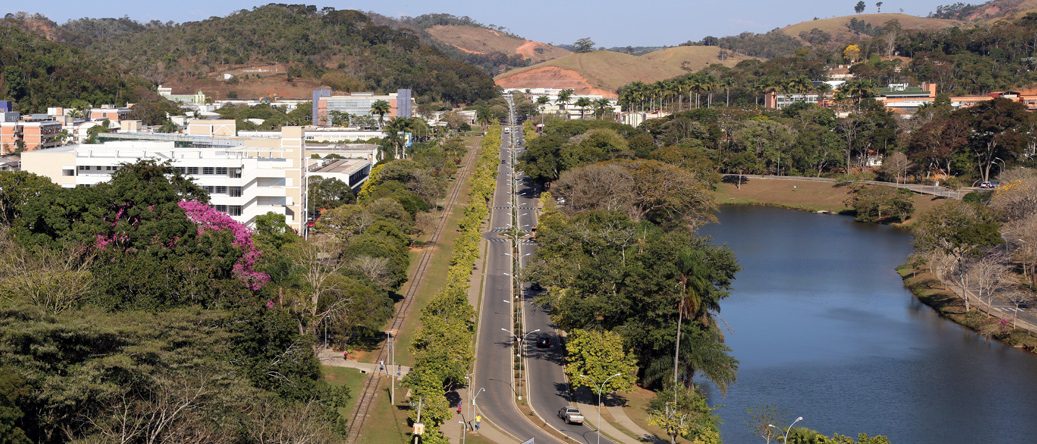 UFV fechará trechos da P.H. Rolfs para poda de grama