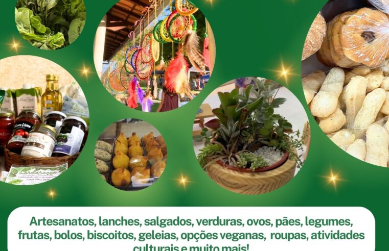 Feira Quintal Solidário tem programação especial em dezembro