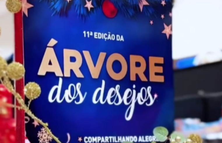 Campanha Árvore de Natal da Funarbe recebe brinquedos para seis creches
