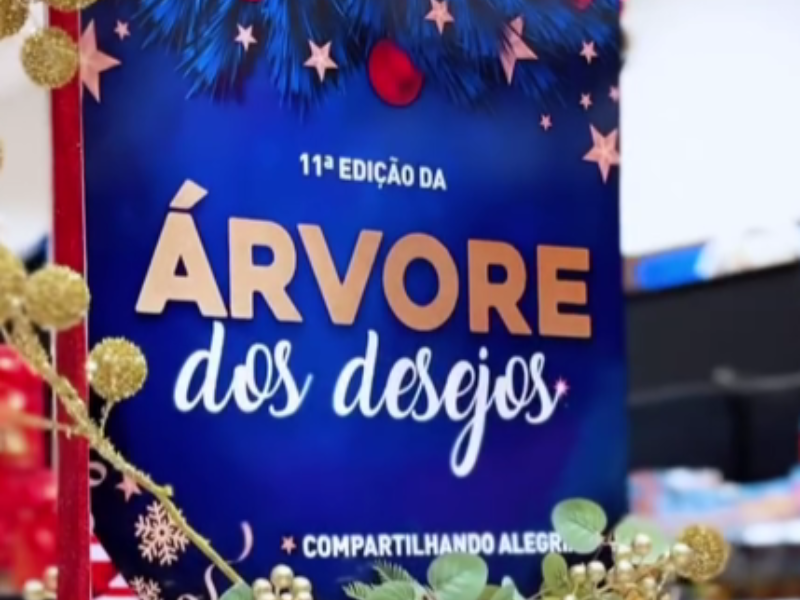 Campanha Árvore de Natal da Funarbe recebe brinquedos para seis creches