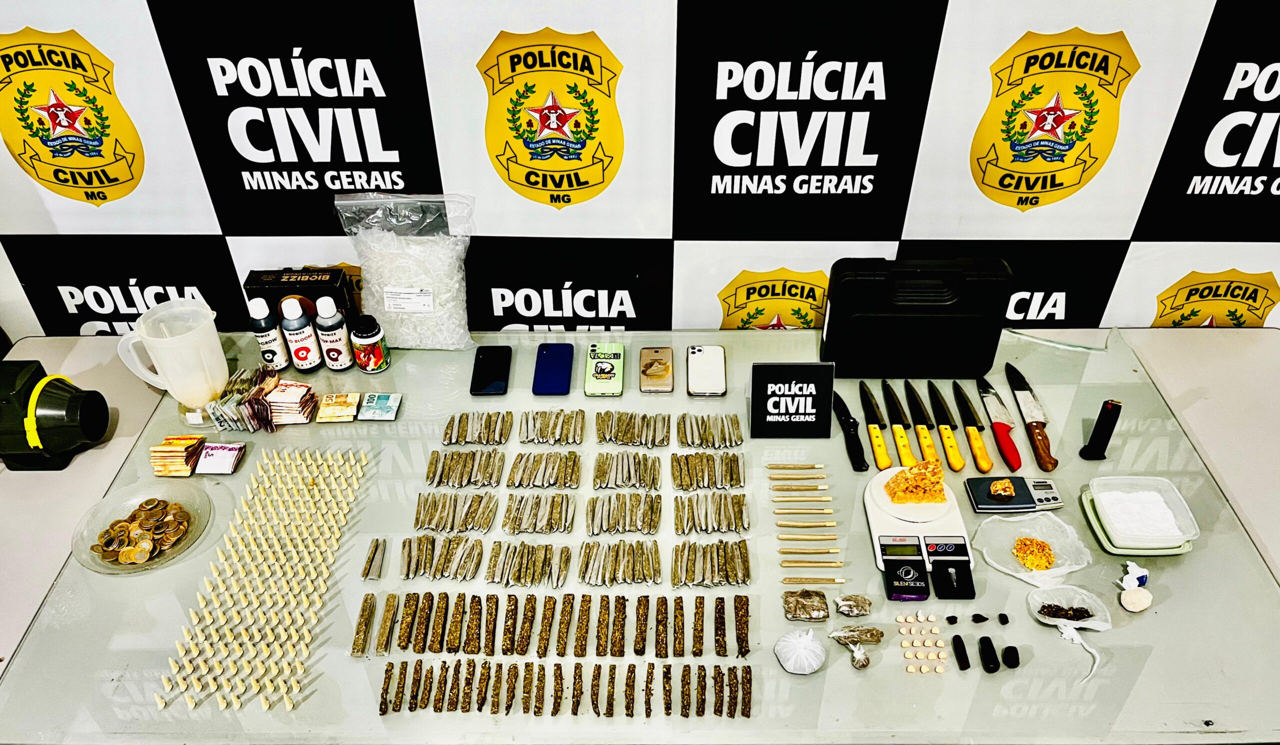 Operação Deméter: PC apreende granadas e grande quantidade de drogas em Ubá