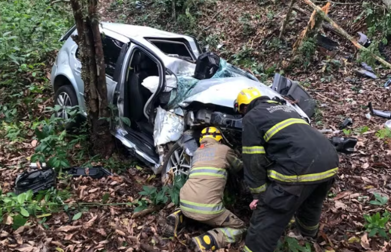 Carro com quatro passageiros capota e colide em árvore em rodovia MG-353