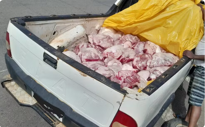 Polícia Rodoviaria apreende meia tonelada de carne imprópria para consumo na MG-265