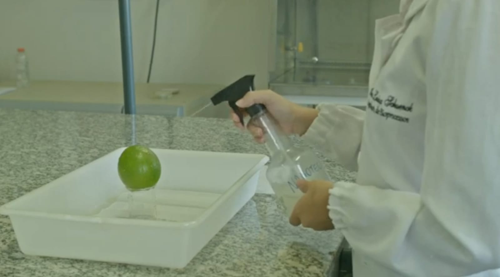 UFV e UFSJ licenciam nova tecnologia para preservação de frutas