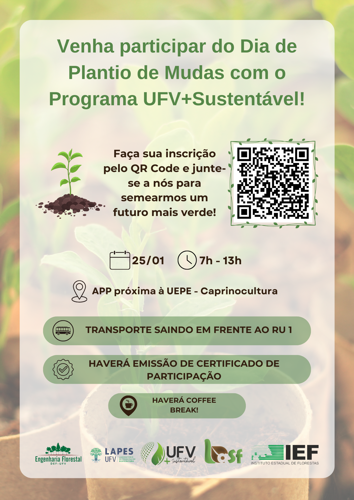 Programa UFV+Sustentável convida comunidade para Dia de Plantio de Mudas