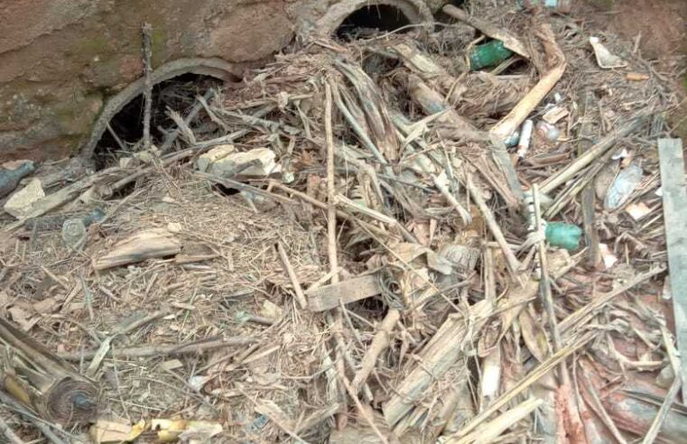Prefeitura de Viçosa realiza limpeza emergencial em ribeirão do Novo Silvestre