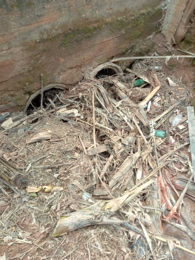Prefeitura de Viçosa realiza limpeza emergencial em ribeirão do Novo Silvestre