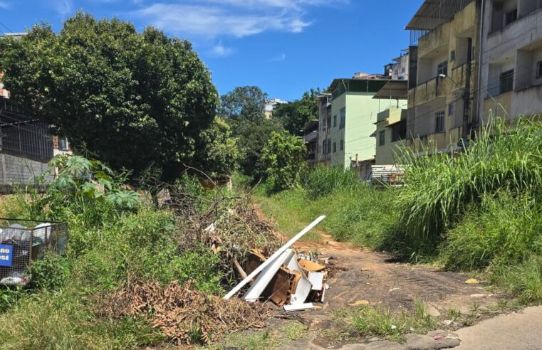 Viçosa: Moradores da rua Manoel Venuti cobram melhorias em infraestrutura e limpeza