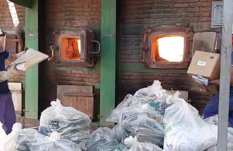 PCMG incinera cerca de 800 quilos de drogas em Juiz de Fora