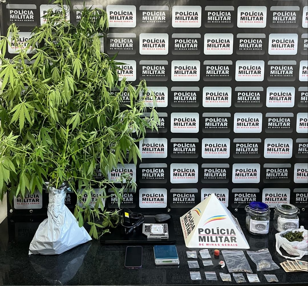 Polícia Militar apreende grande quantidade de drogas em Ponte Nova