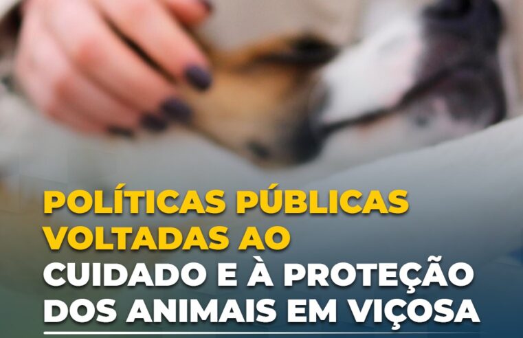 Viçosa cria departamento de bem-estar animal para ampliar proteção aos animais