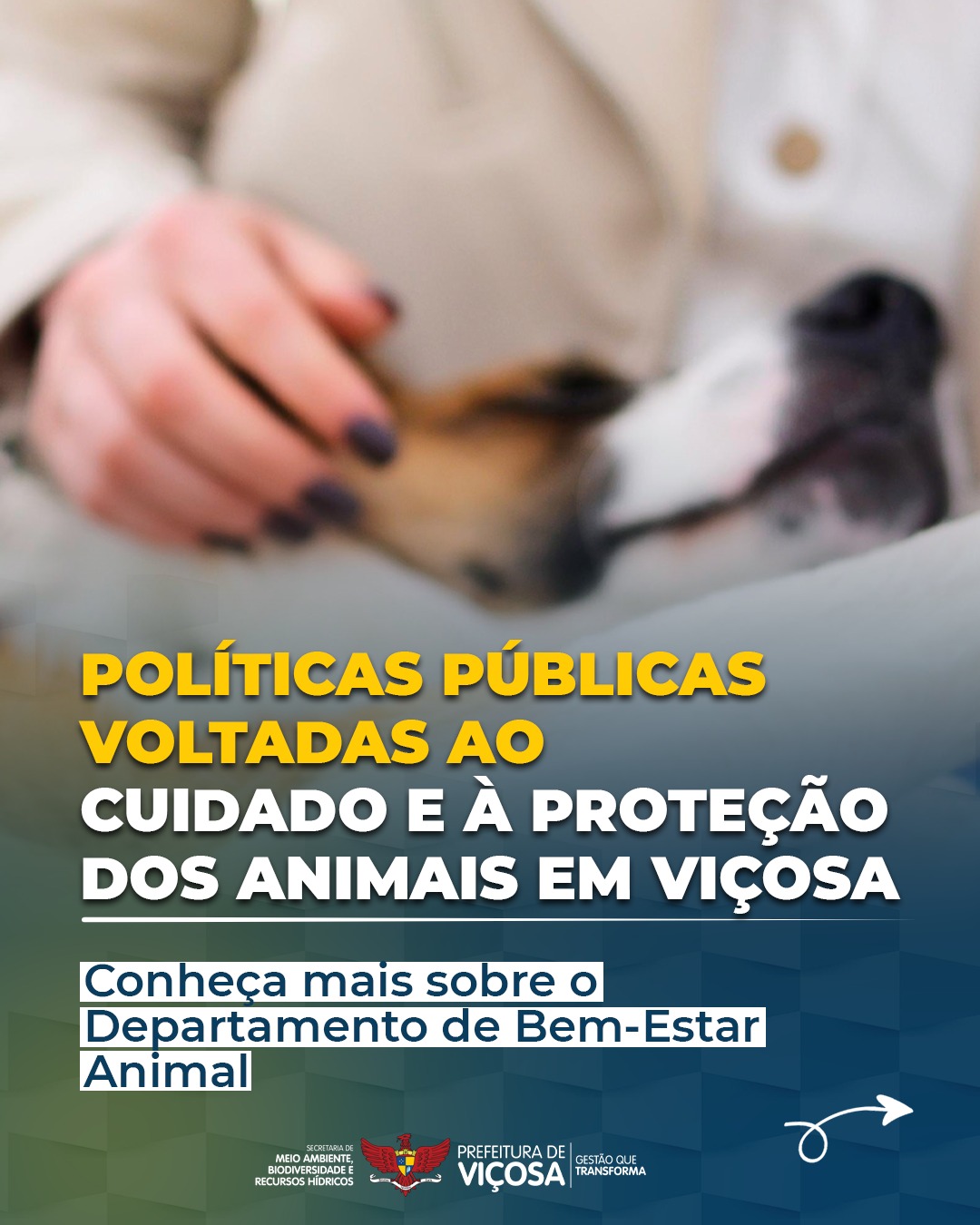 Viçosa cria departamento de bem-estar animal para ampliar proteção aos animais