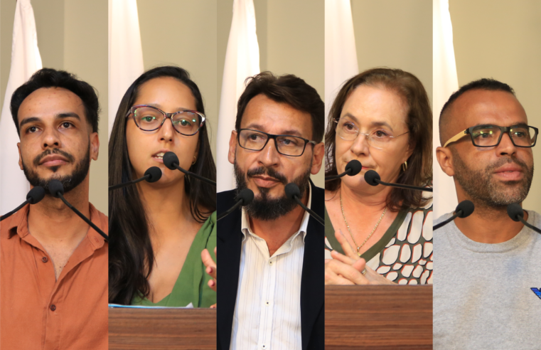 Viçosa: Câmara vai analisar projeto que institui Semana Municipal da Maternidade Atípica