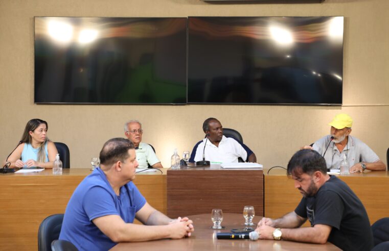 Parlamento do Idoso reforça voz da terceira idade no Legislativo de Viçosa