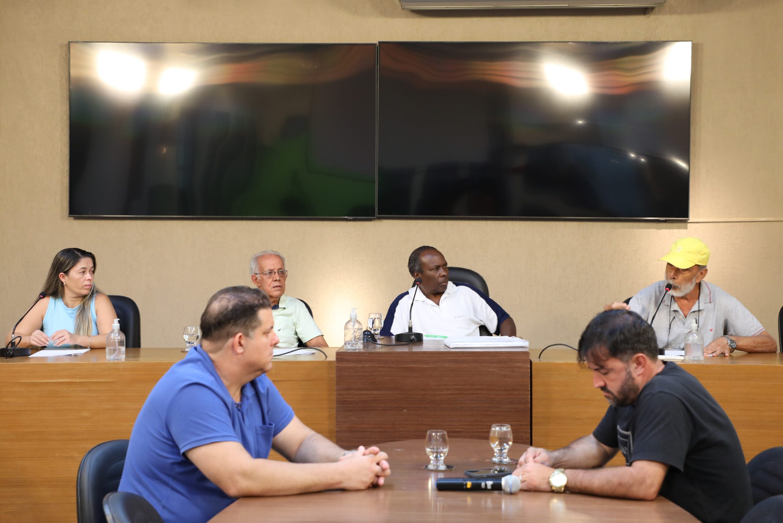 Parlamento do Idoso reforça voz da terceira idade no Legislativo de Viçosa