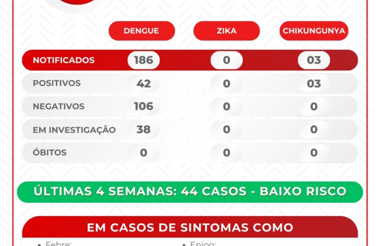 Viçosa registra 42 casos de dengue e alerta para Chikungunya