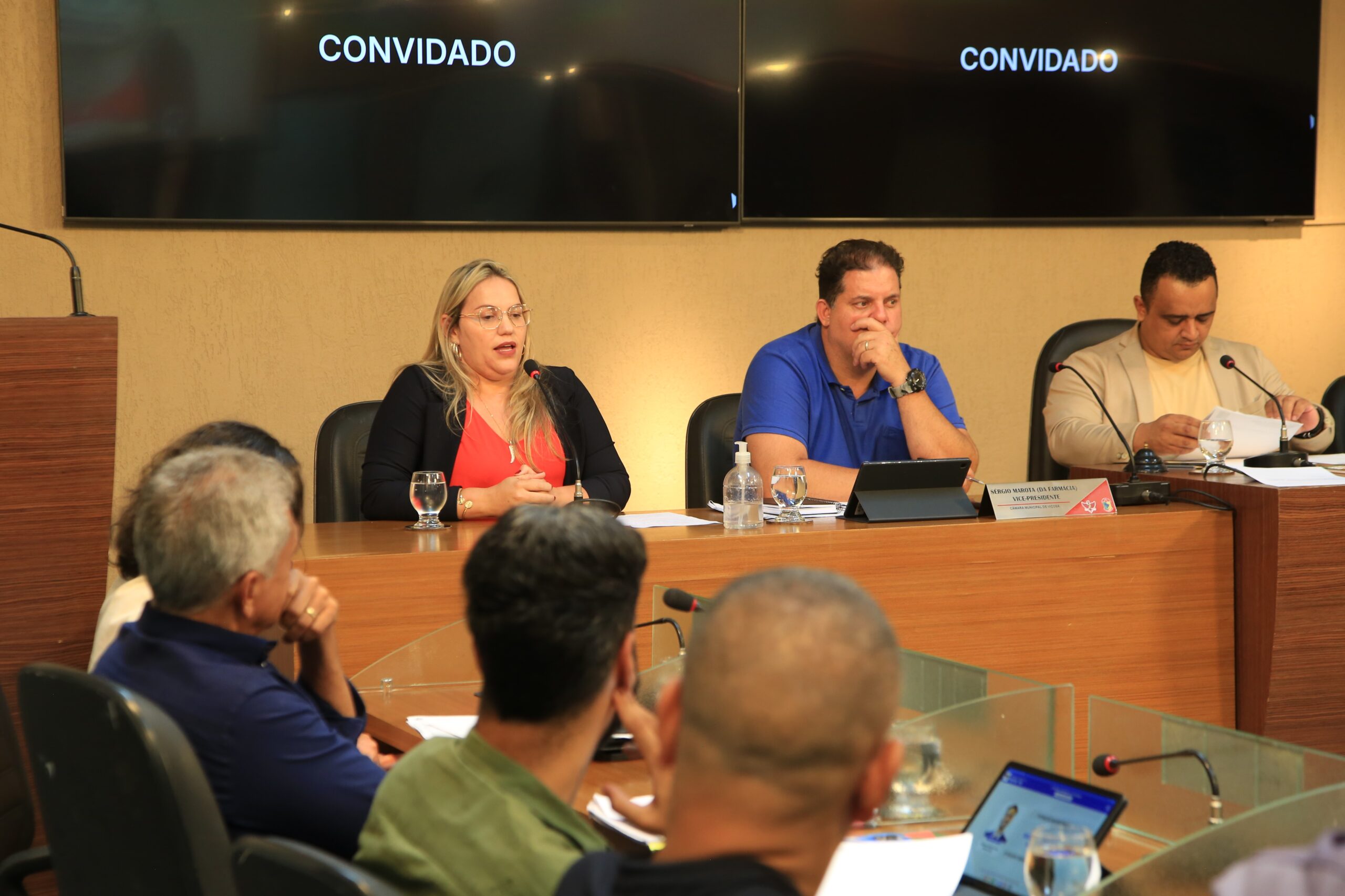 Viçosa: Vereadores discutem responsabilização de donos de terrenos sujos e abandonados