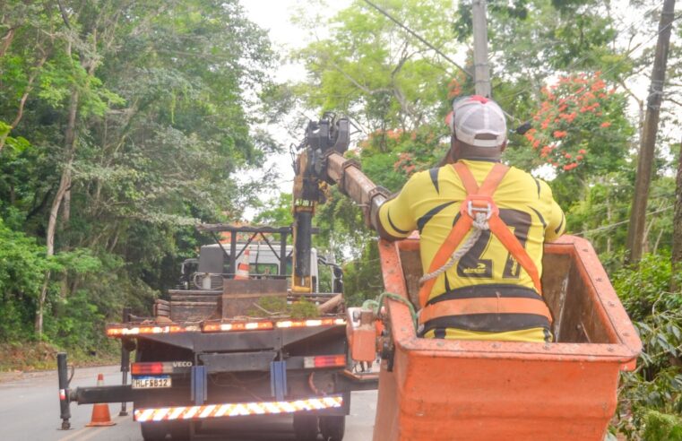 Prefeitura de Viçosa realiza operação preventiva de corte de árvores no Trevo do Acamari