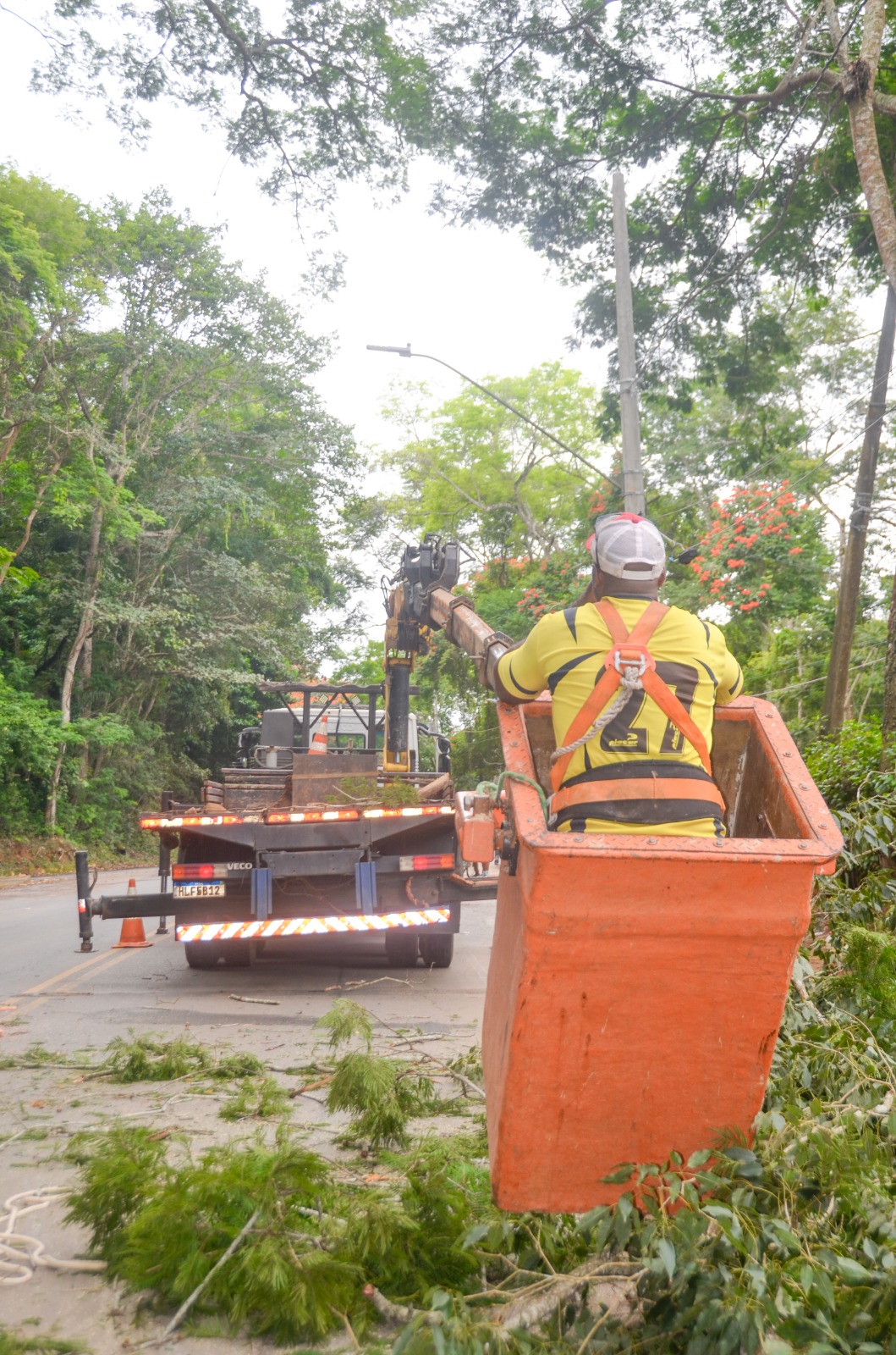 Prefeitura de Viçosa realiza operação preventiva de corte de árvores no Trevo do Acamari