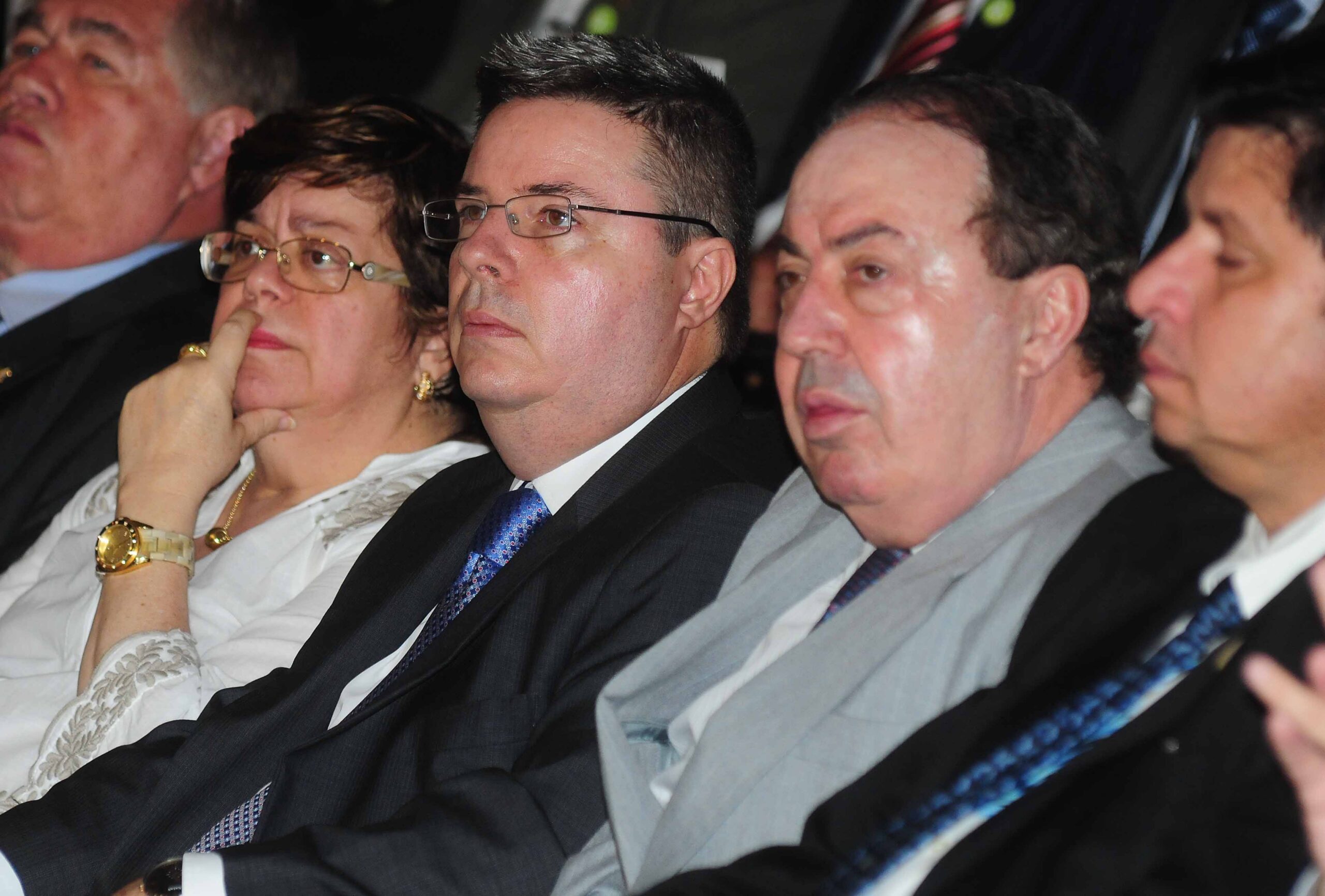 Artigo: A última raposa de Minas