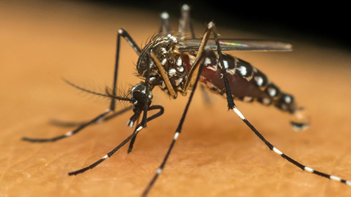Prefeitura de Viçosa divulga boletim epidemiológico da última semana