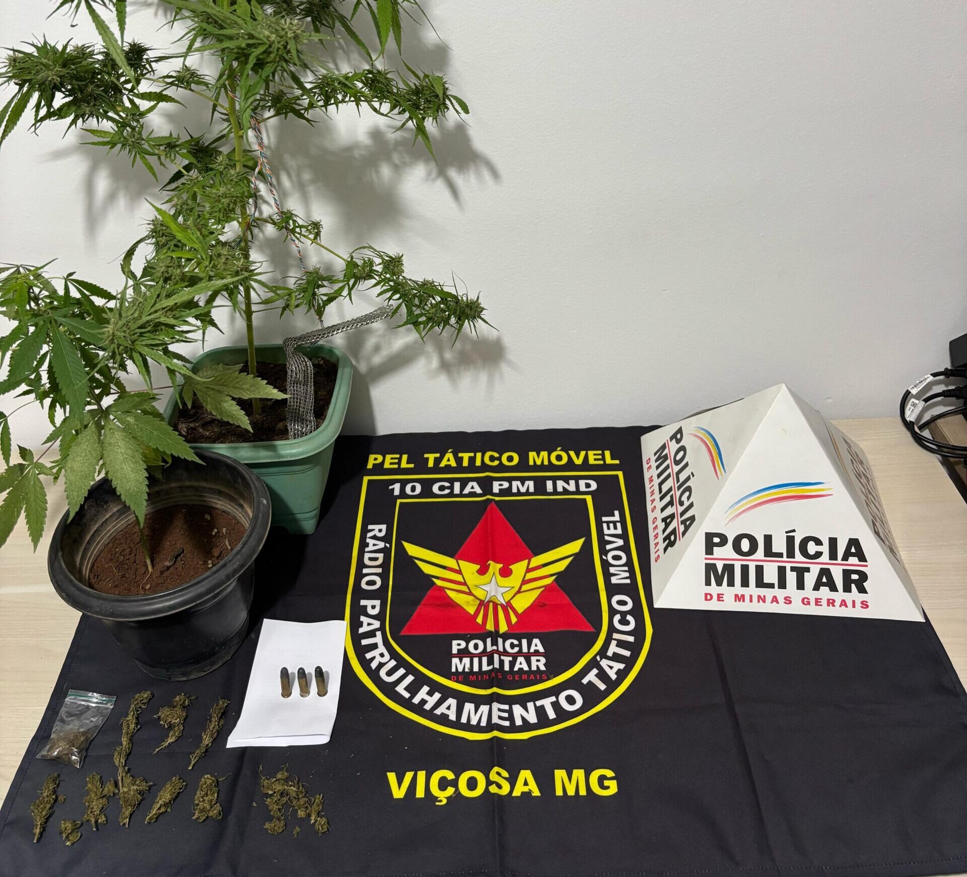 PM apreende munições e entorpecentes durante patrulhamento em Viçosa