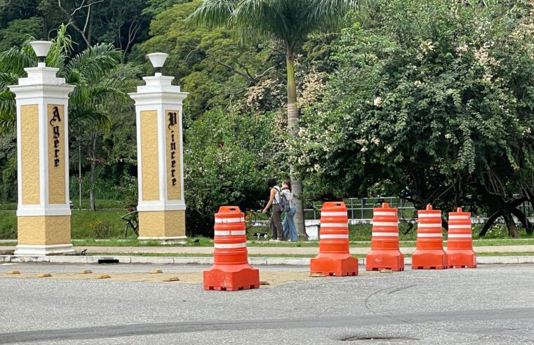 Via principal da UFV é interditada para poda de árvores nesta segunda-feira (28)