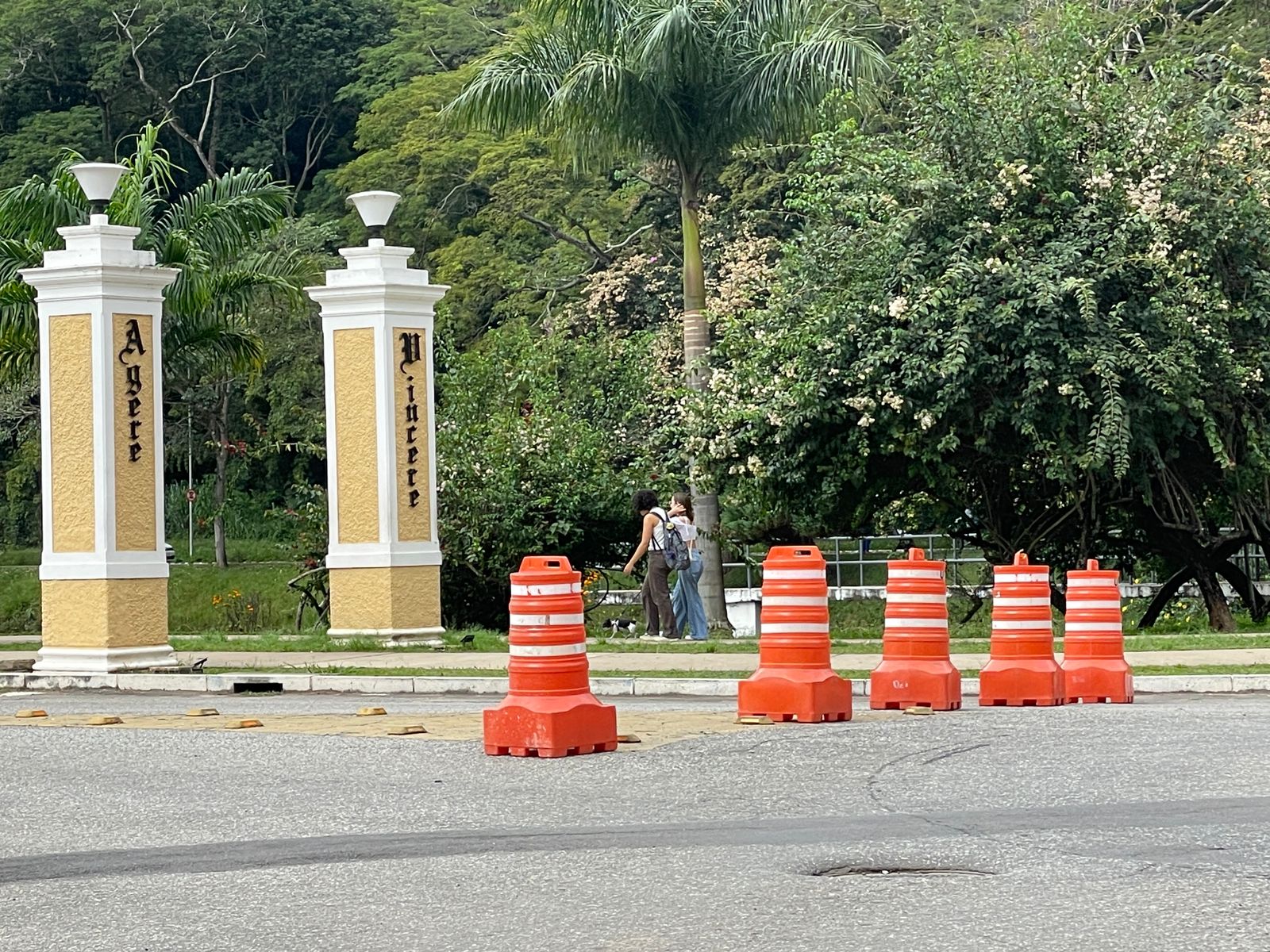 Via principal da UFV é interditada para poda de árvores nesta segunda-feira (28)