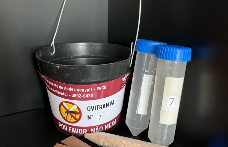 Viçosa implementa método inovador no combate à Dengue e outras arboviroses