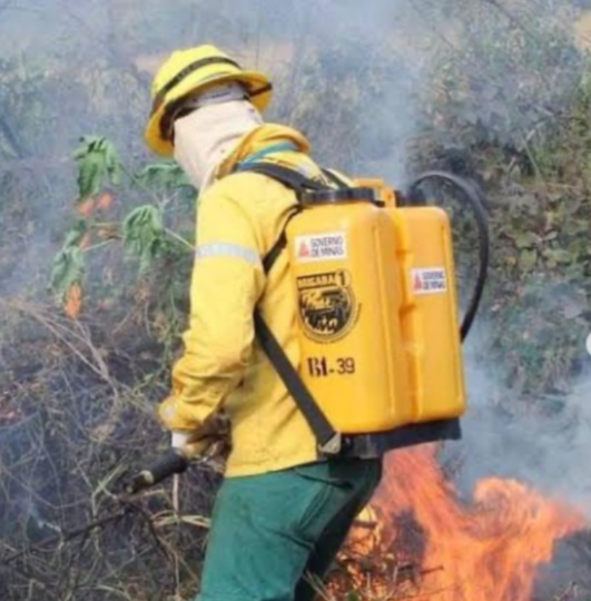 Inscrições abertas para brigadistas florestais na Serra do Brigadeiro