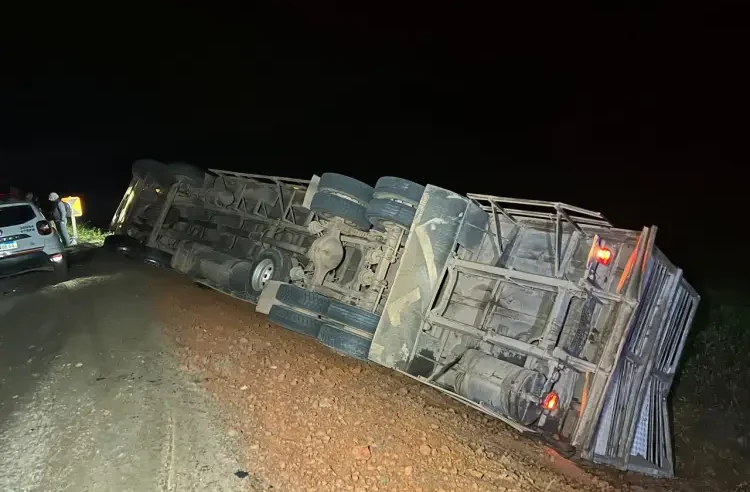 Caminhão tomba com carregamento de porcos, em Muriaé