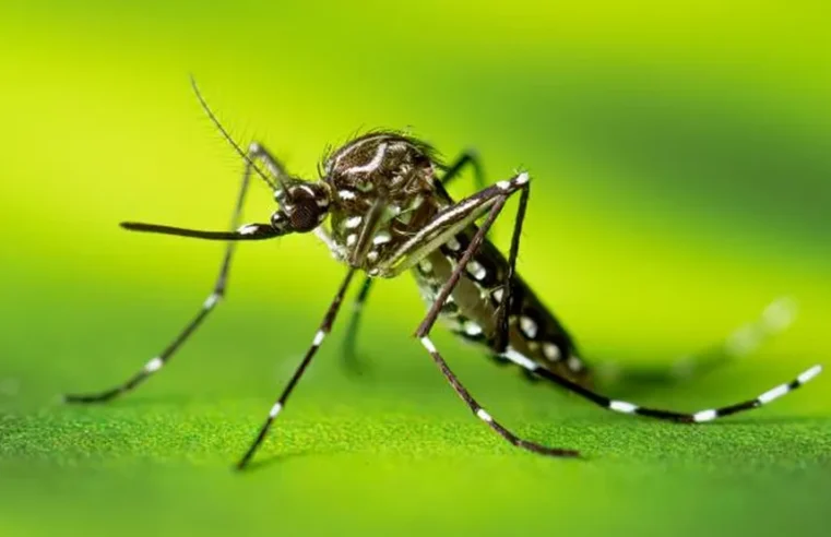Viçosa confirma novo óbito por dengue em 2025