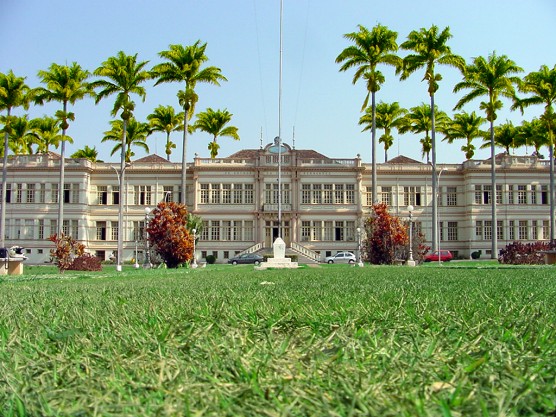 Trinta professores da UFV figuram entre os melhores do mundo em ranking internacional