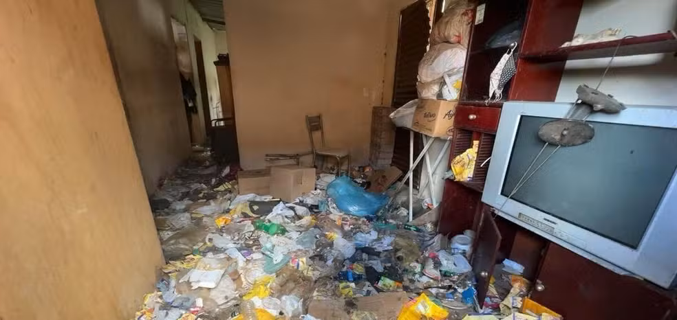 Três cães são resgatados de maus-tratos e homem é preso, em Viçosa