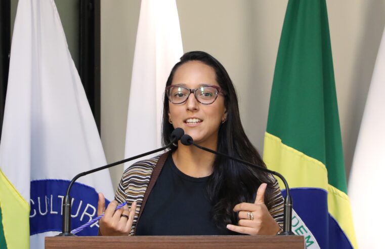 PMV debaterá humanização do luto materno e parental