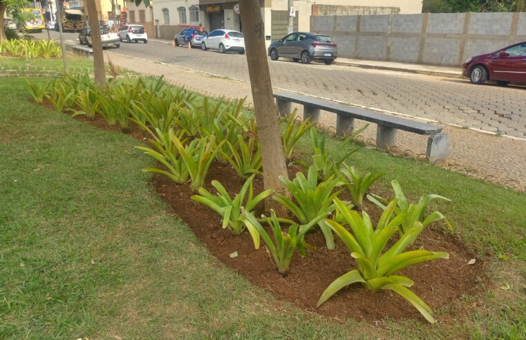 Prefeitura revitaliza jardins da Avenida Santa Rita