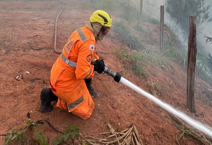 Incêndio em pasto ameaça moradias e mata nativa, em Viçosa