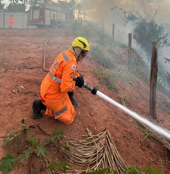 Incêndio em pasto ameaça moradias e mata nativa, em Viçosa