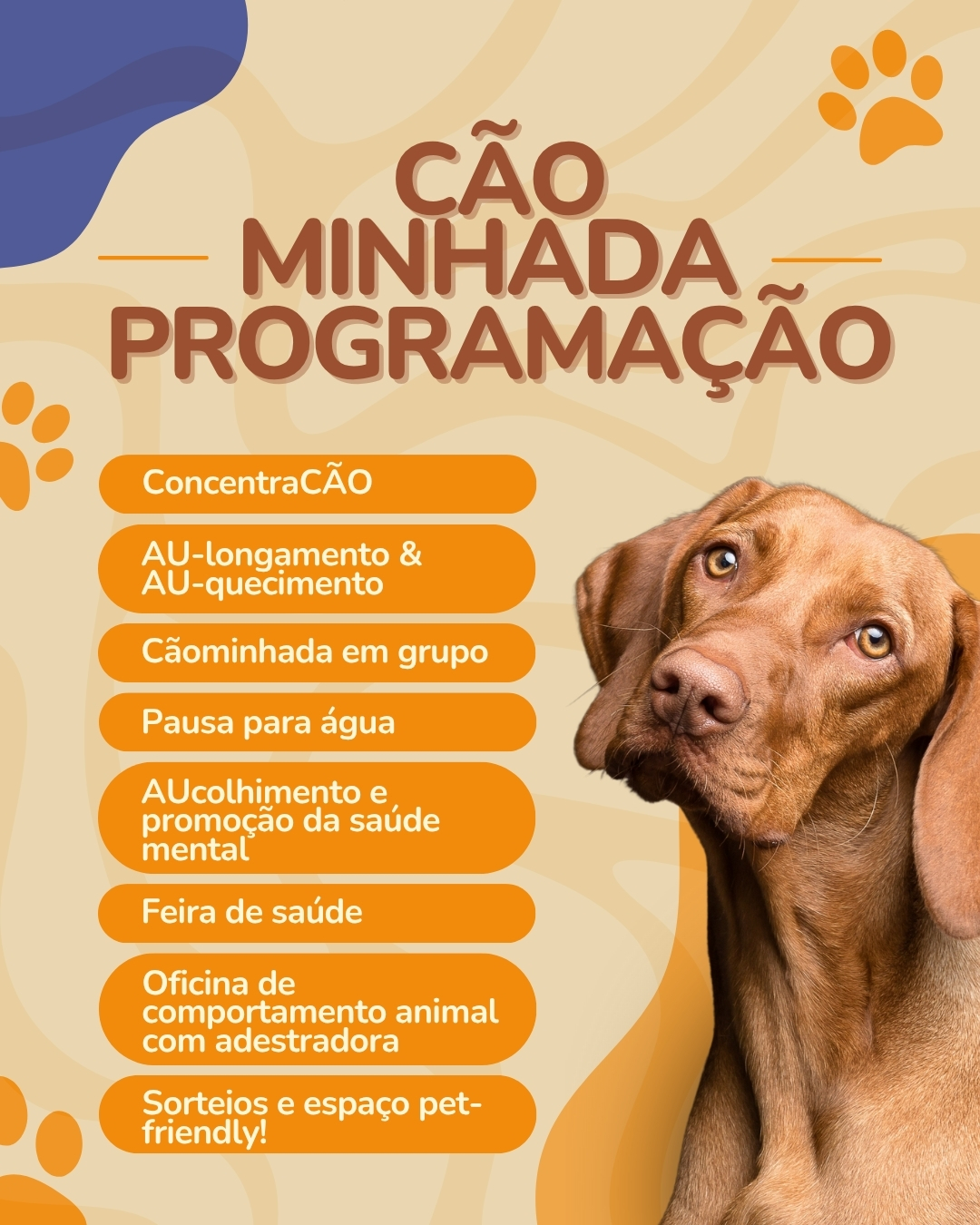 UFV recebe Cãominhada com oficina de comportamento animal