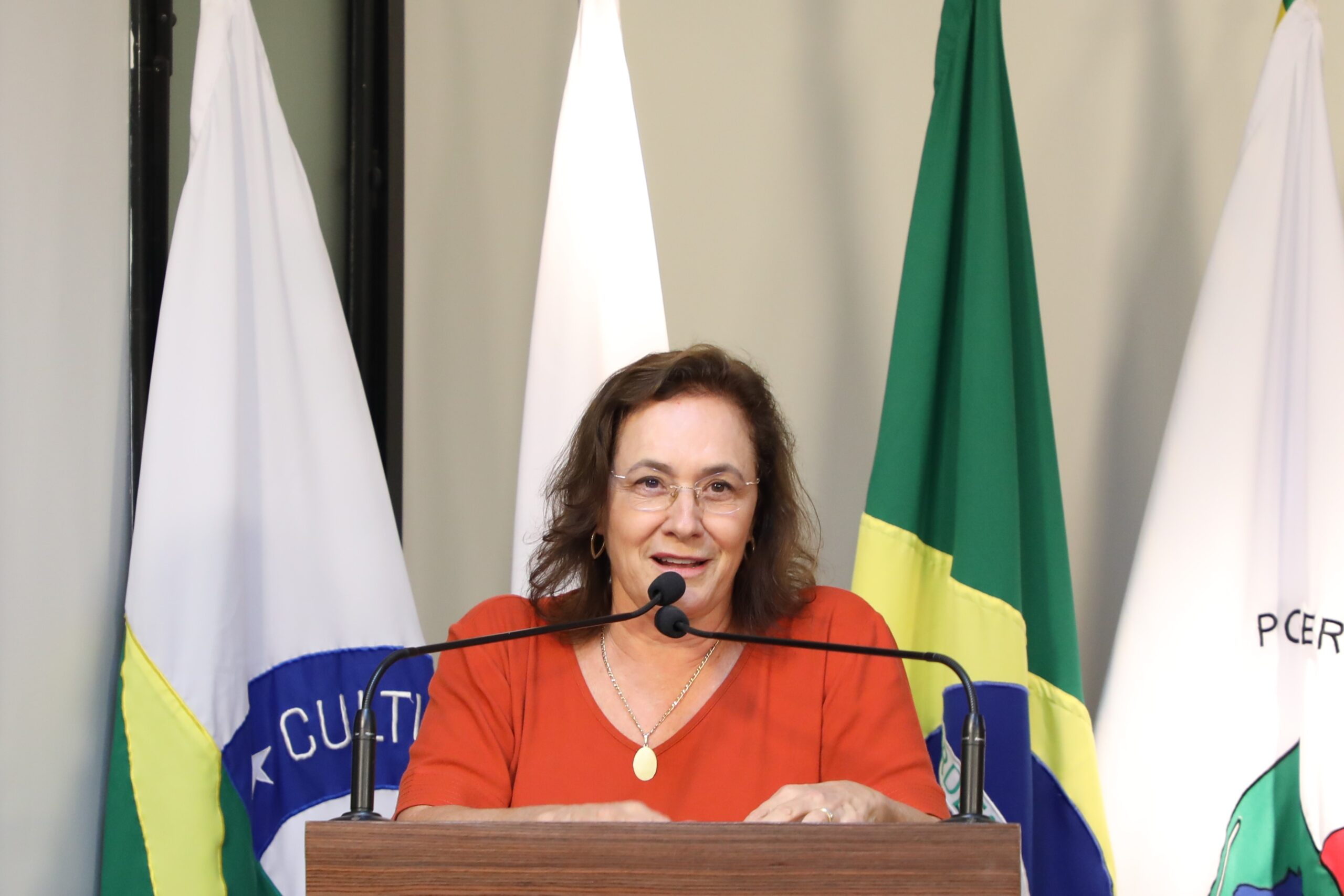 Vereadora propõe transparência online para obras públicas em Viçosa