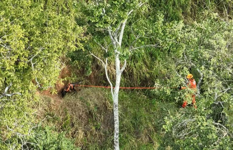 Ambientalista é encontrado morto na zona rural de Visconde do Rio Branco