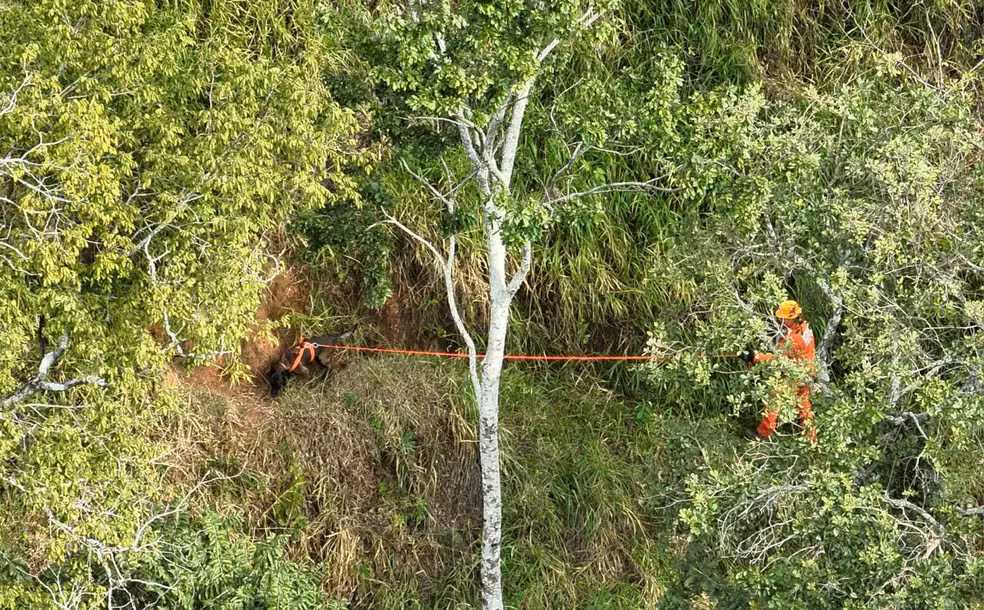 Ambientalista é encontrado morto na zona rural de Visconde do Rio Branco
