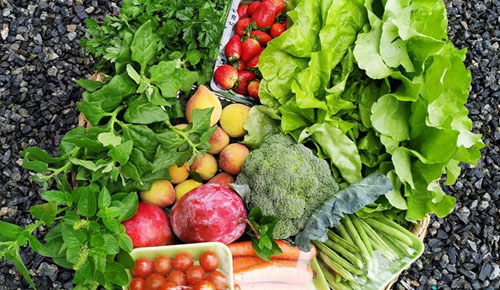 CeasaMinas e UFV lançam índice inédito para divulgação de preços de hortigranjeiros