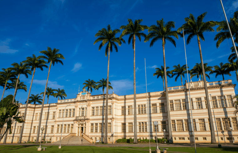 Técnico-administrativos da UFV anunciam paralisação nas atividades nesta semana