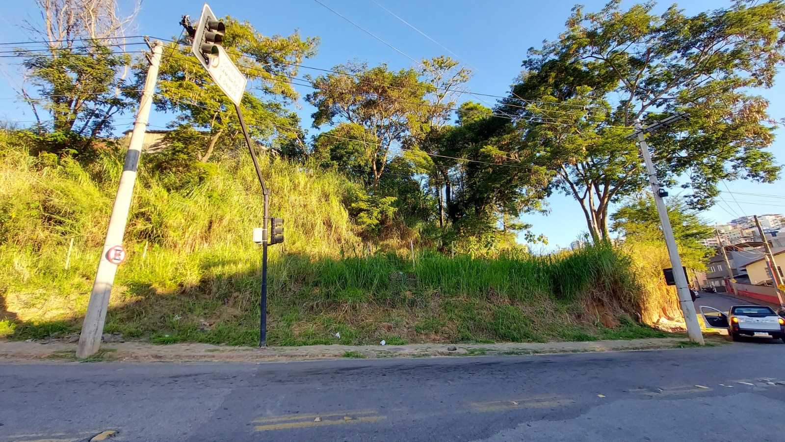Prefeitura de Viçosa notifica proprietários para limpeza de lotes