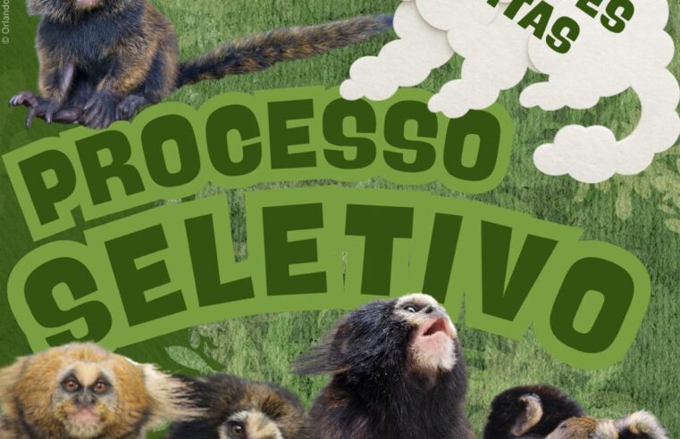 Centro de Conservação dos Saguis-da-Serra abre oportunidades de Estágio na UFV