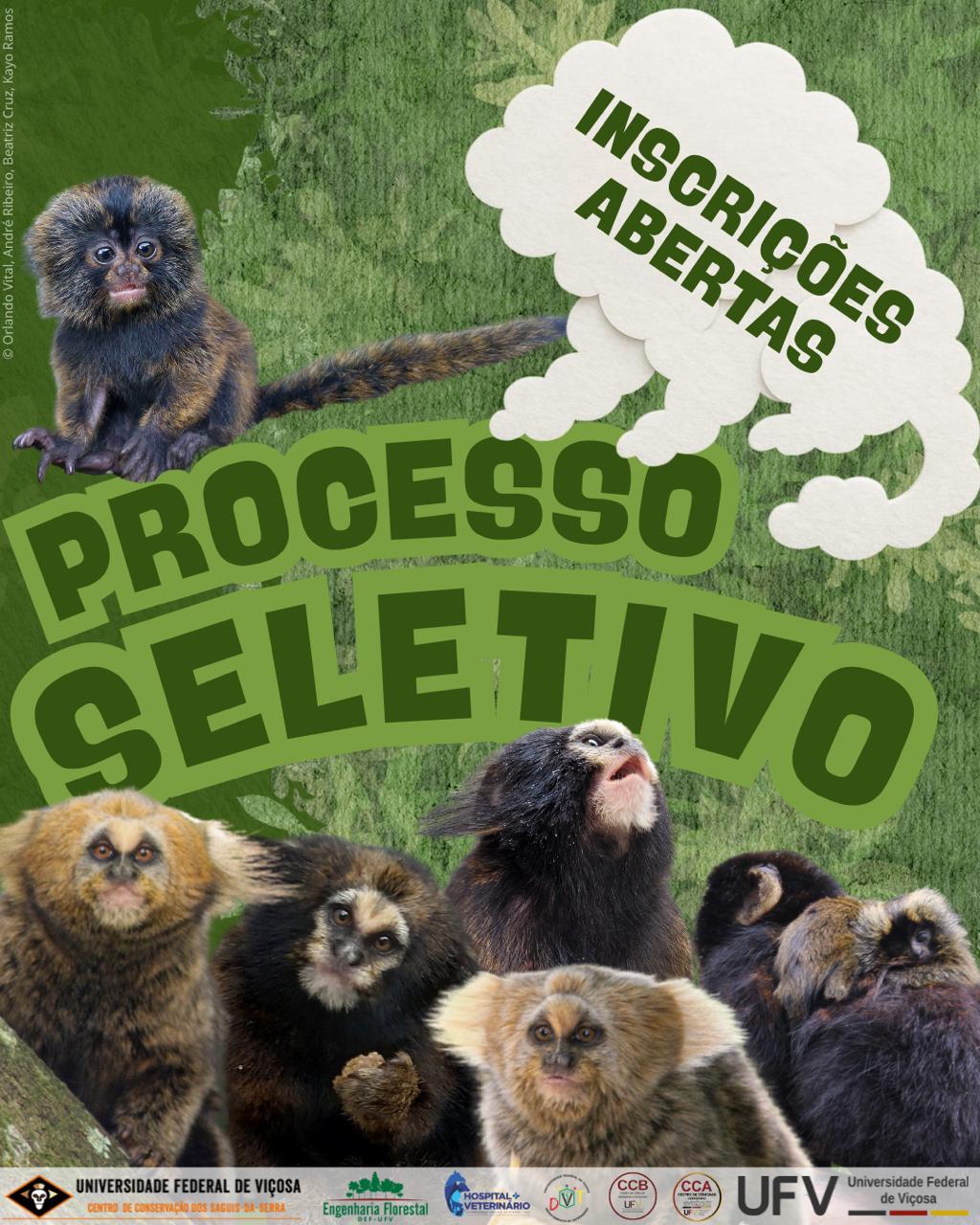 Centro de Conservação dos Saguis-da-Serra abre oportunidades de Estágio na UFV