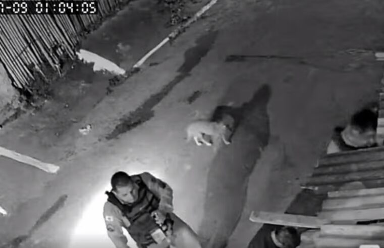 Policiais são investigados por suposta agressão a mulher em Visconde do Rio Branco