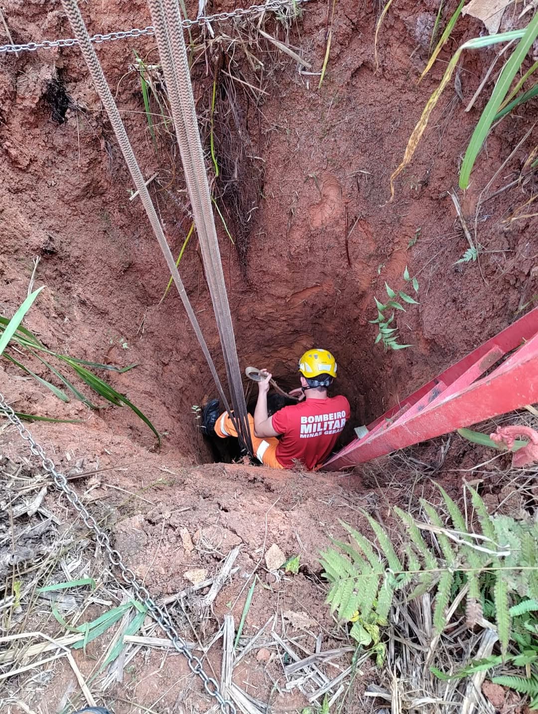 Bombeiros de Viçosa realizam resgates de vaca e cachorro-do-mato